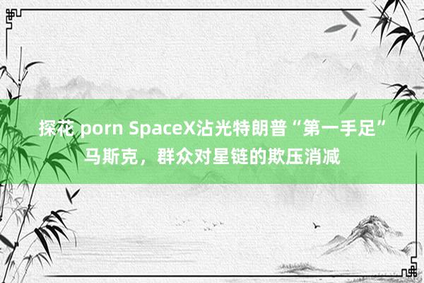 探花 porn SpaceX沾光特朗普“第一手足”马斯克，群众对星链的欺压消减