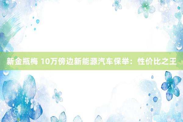 新金瓶梅 10万傍边新能源汽车保举：性价比之王