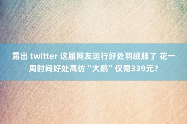 露出 twitter 这届网友运行好处羽绒服了 花一周时间好处高仿“大鹅”仅需339元？