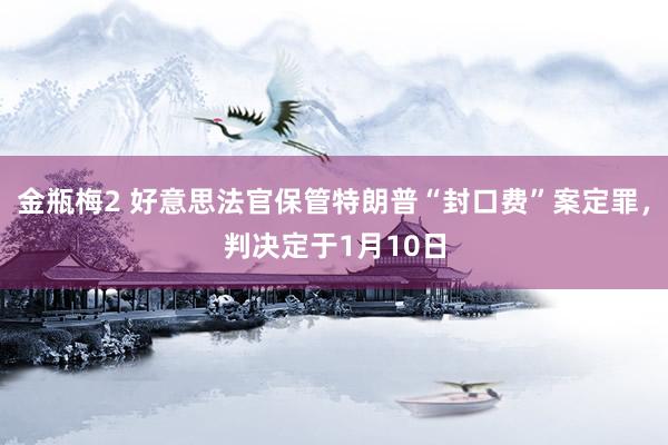 金瓶梅2 好意思法官保管特朗普“封口费”案定罪，判决定于1月10日