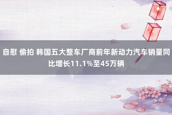 自慰 偷拍 韩国五大整车厂商前年新动力汽车销量同比增长11.1%至45万辆