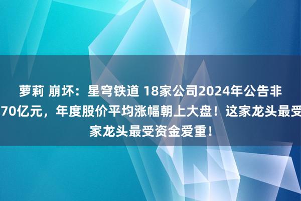 萝莉 崩坏：星穹铁道 18家公司2024年公告非常分成超170亿元，年度股价平均涨幅朝上大盘！这家龙头最受资金爱重！