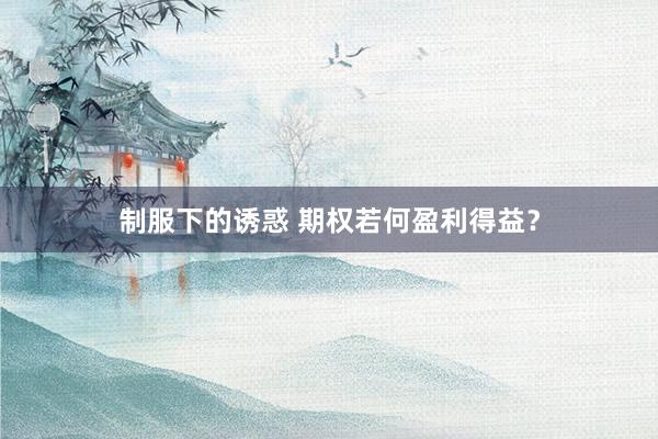 制服下的诱惑 期权若何盈利得益？