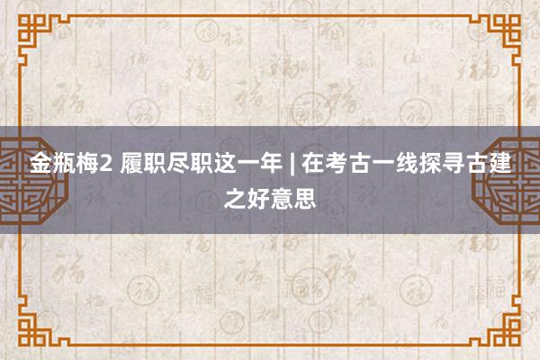 金瓶梅2 履职尽职这一年 | 在考古一线探寻古建之好意思