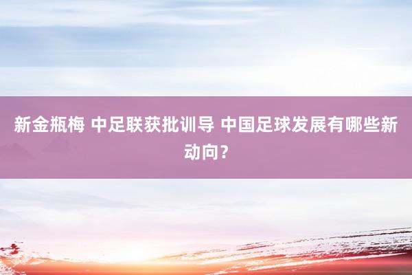 新金瓶梅 中足联获批训导 中国足球发展有哪些新动向？