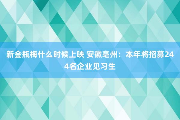 新金瓶梅什么时候上映 安徽亳州：本年将招募244名企业见习生